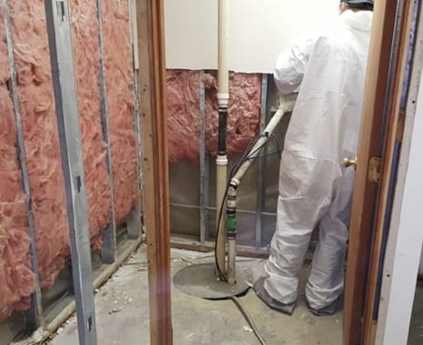 Mold removal in basement