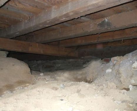 Mold removal in crawl space